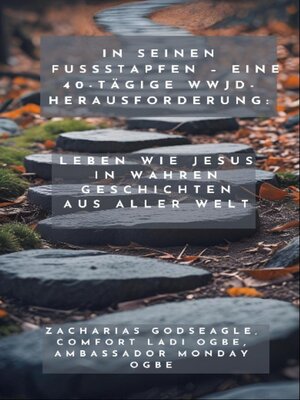 cover image of In seinen Fußstapfen--Eine 40-tägige WWJD-Herausforderung--Leben wie Jesus in wahren Geschichten aus aller Welt